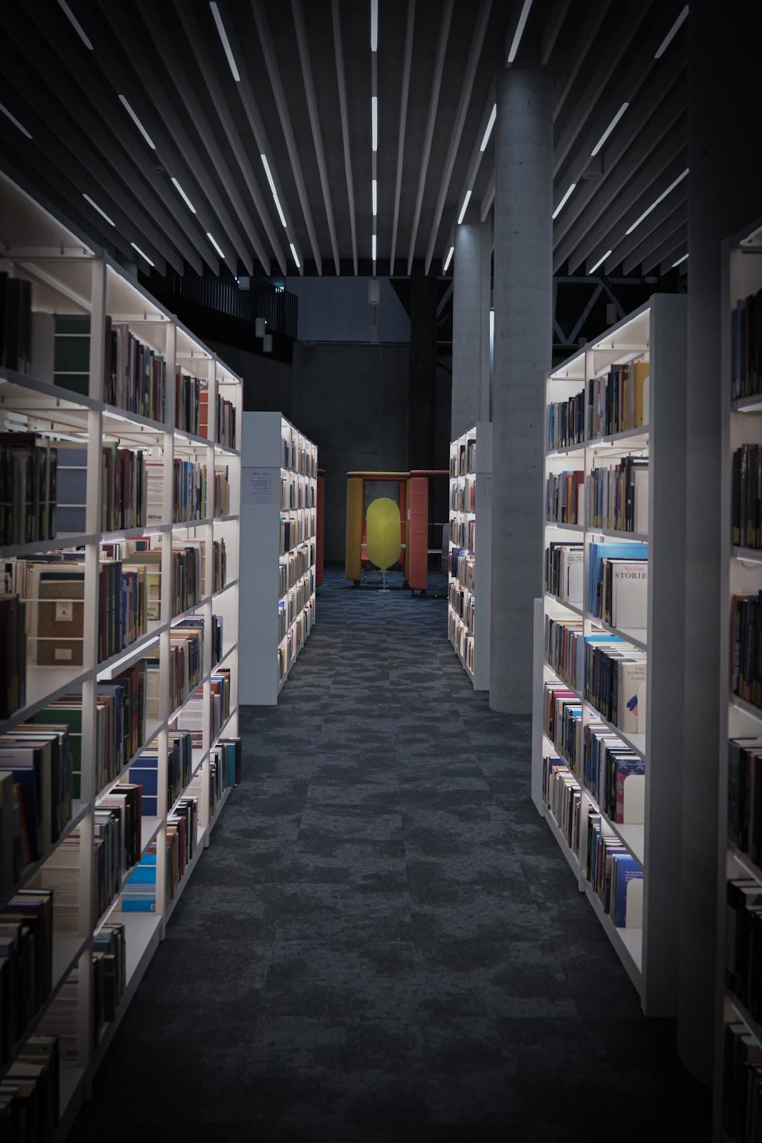 A library like no other - 7