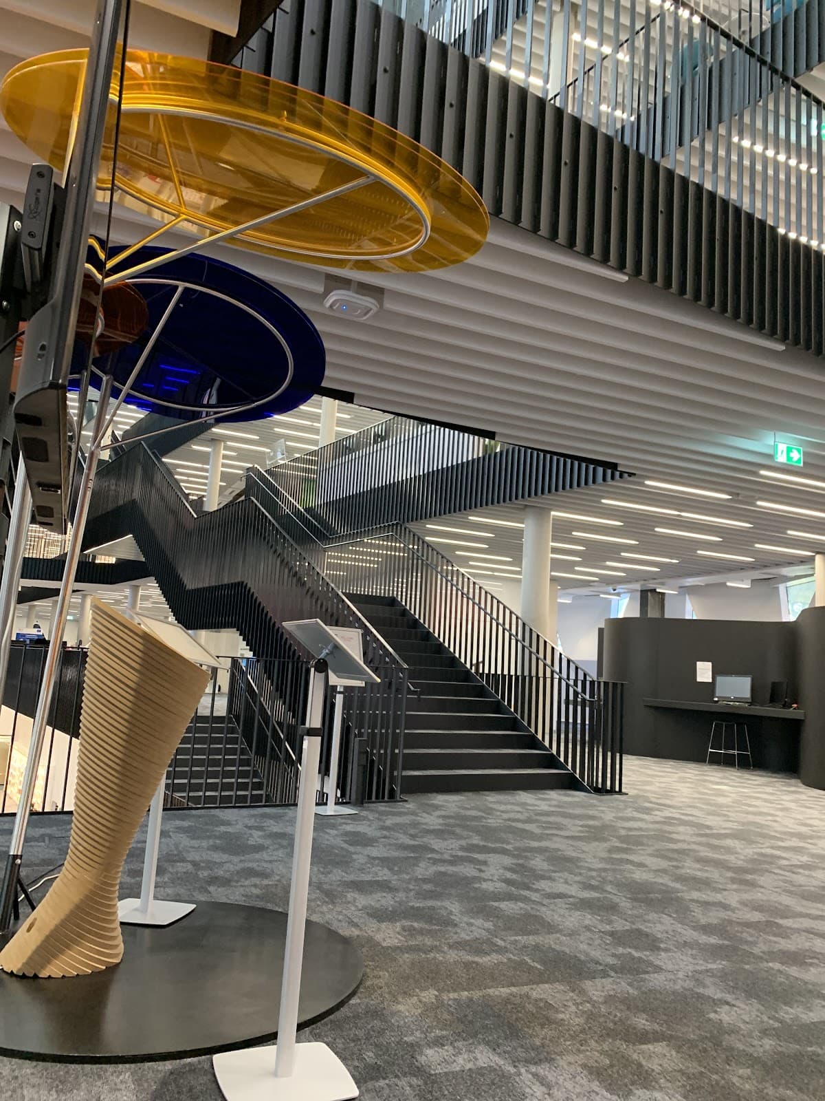 A library like no other - 4