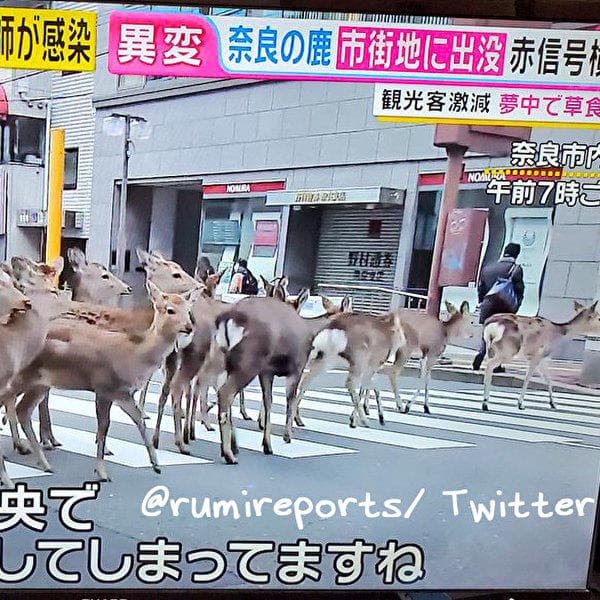 News media
