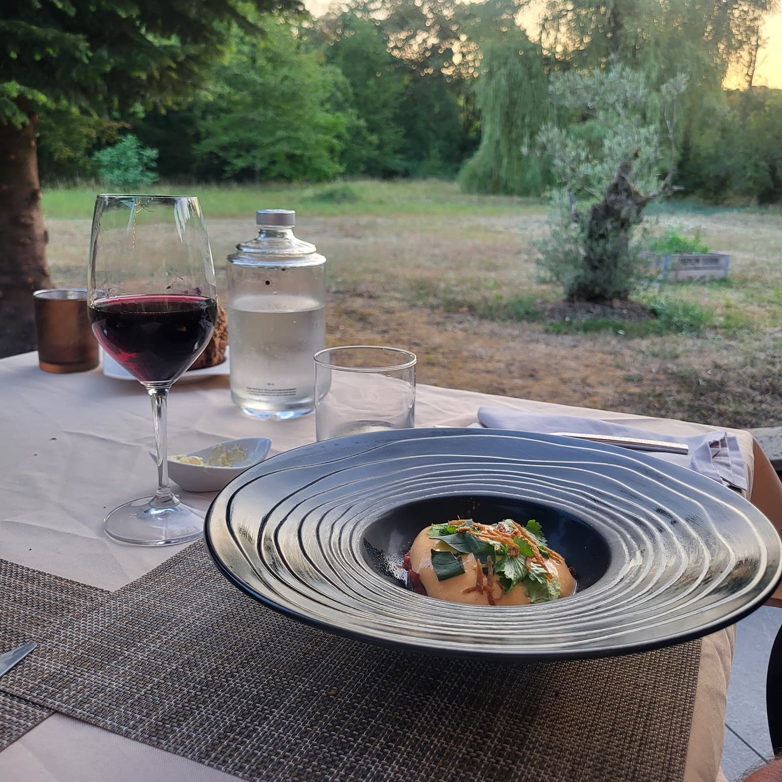 Radix : cuisine gastronomique et terrasse au cœur de la nature - 17