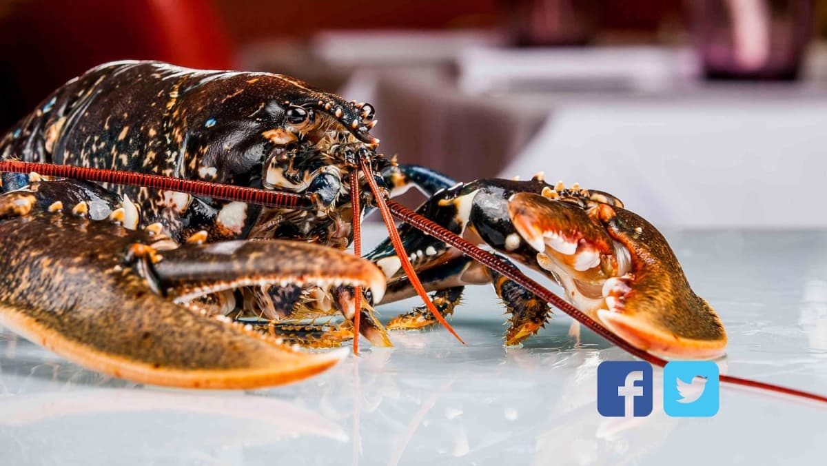 THE Brasserie, for Carpaccios Lovers jusque 00h - 5