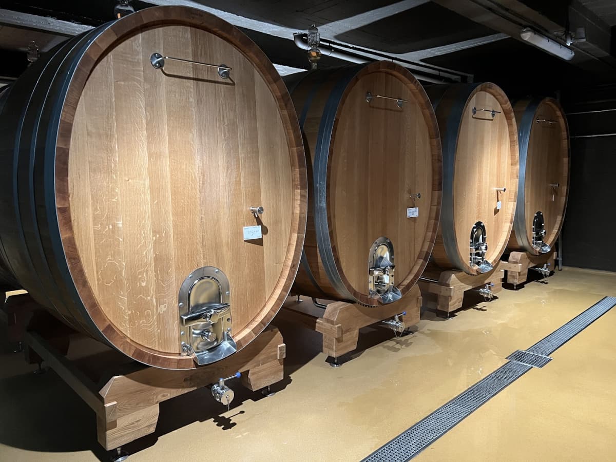 Tastings along the Moselle... - 4