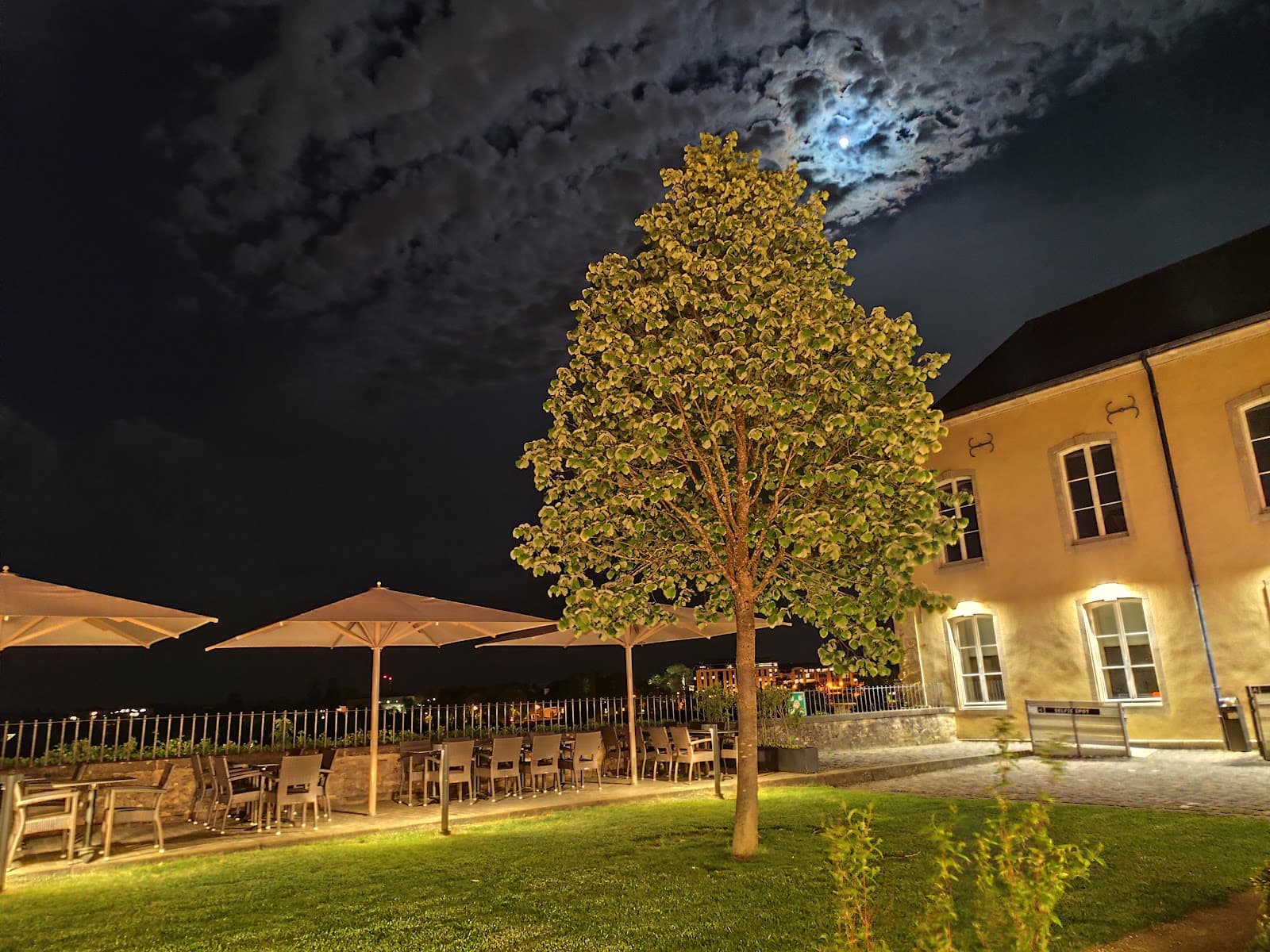 The Beech Tree By the Museum, the most gourmet brasserie in Luxembourg City - 16