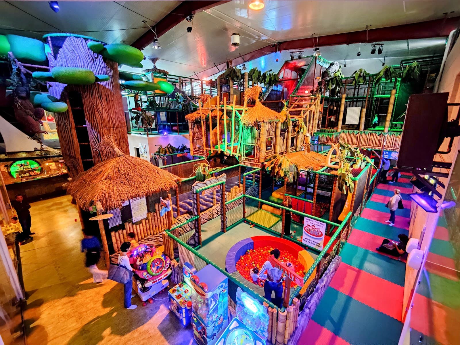 Venture into the jungle! - 3