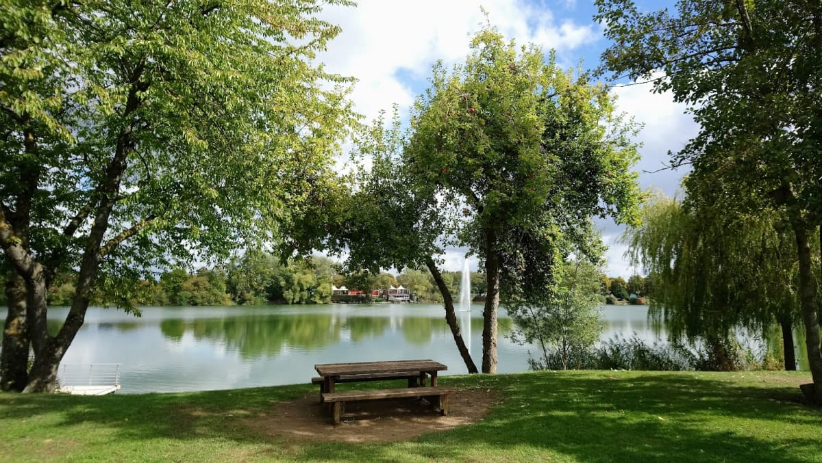 Une petite baignade ? - 5