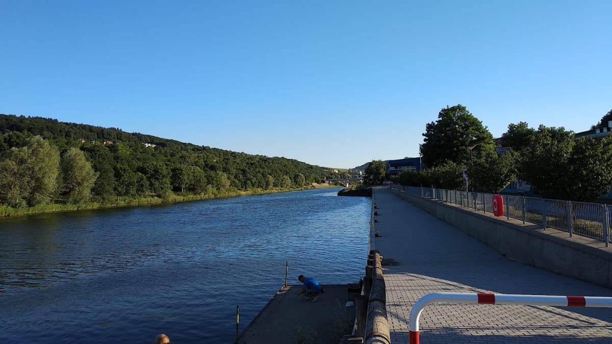 Swimming in front of the vineyards in Grevenmacher - 5