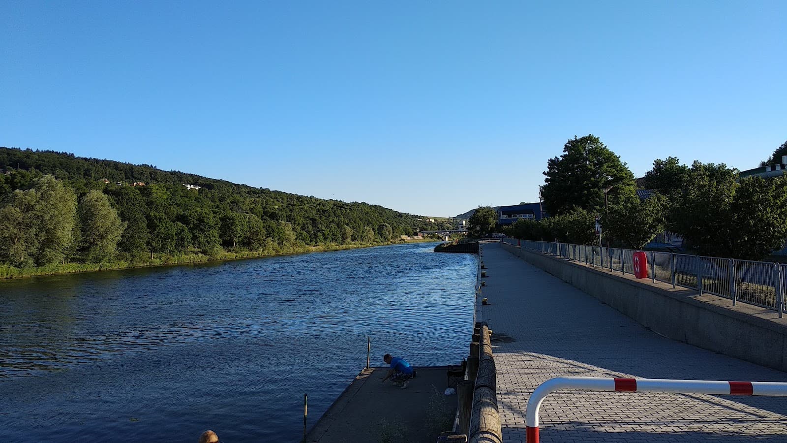 Swimming in front of the vineyards in Grevenmacher - 5