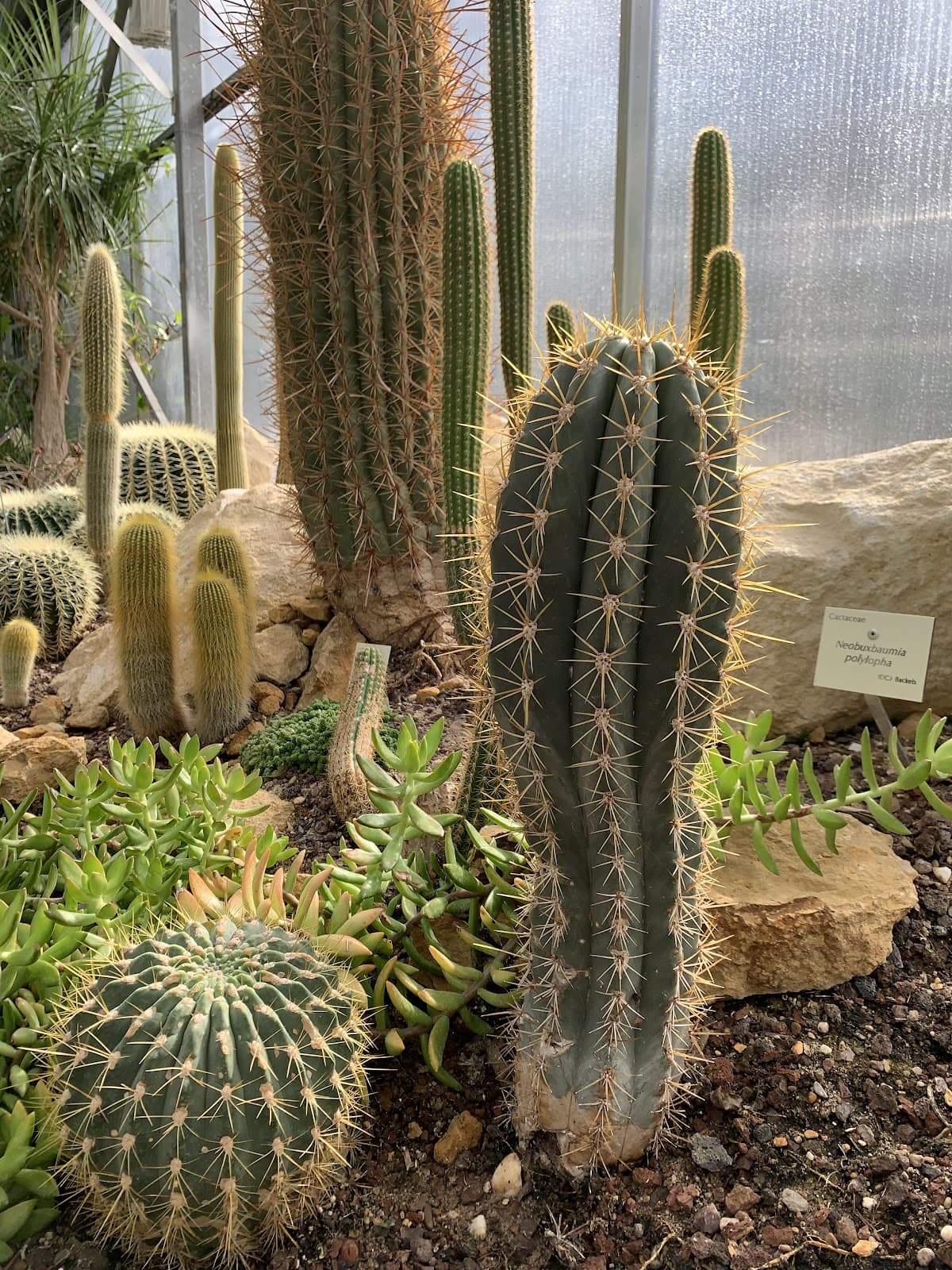 Study the super plants! - 5