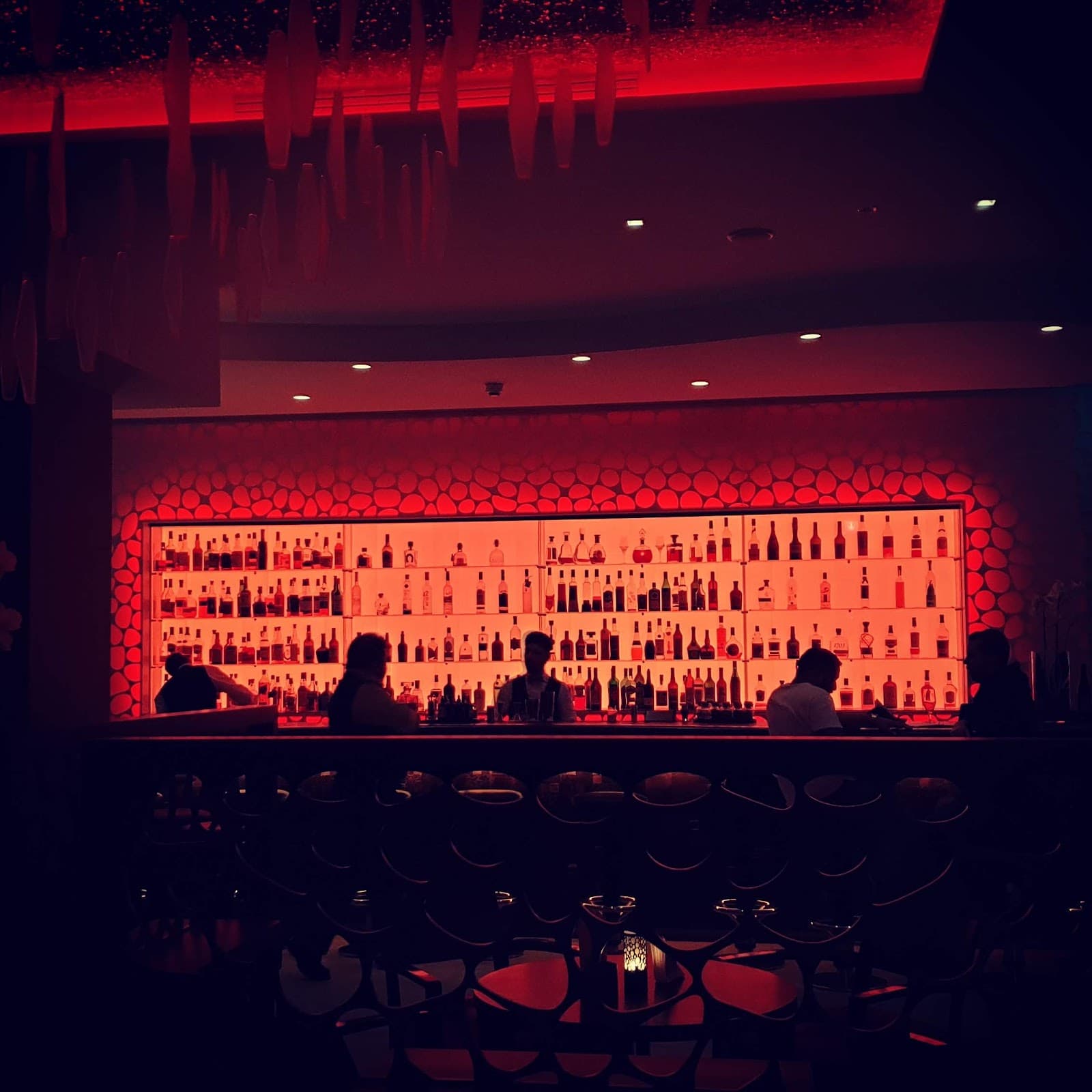 Les cocktails font leur show ! - 10