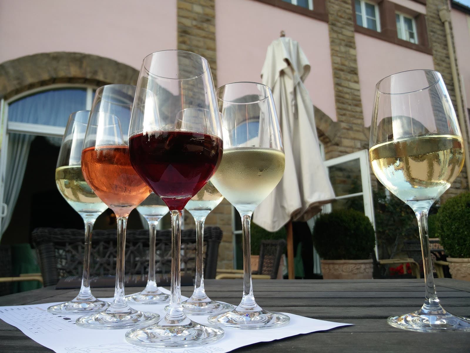 Tastings along the Moselle... - 6