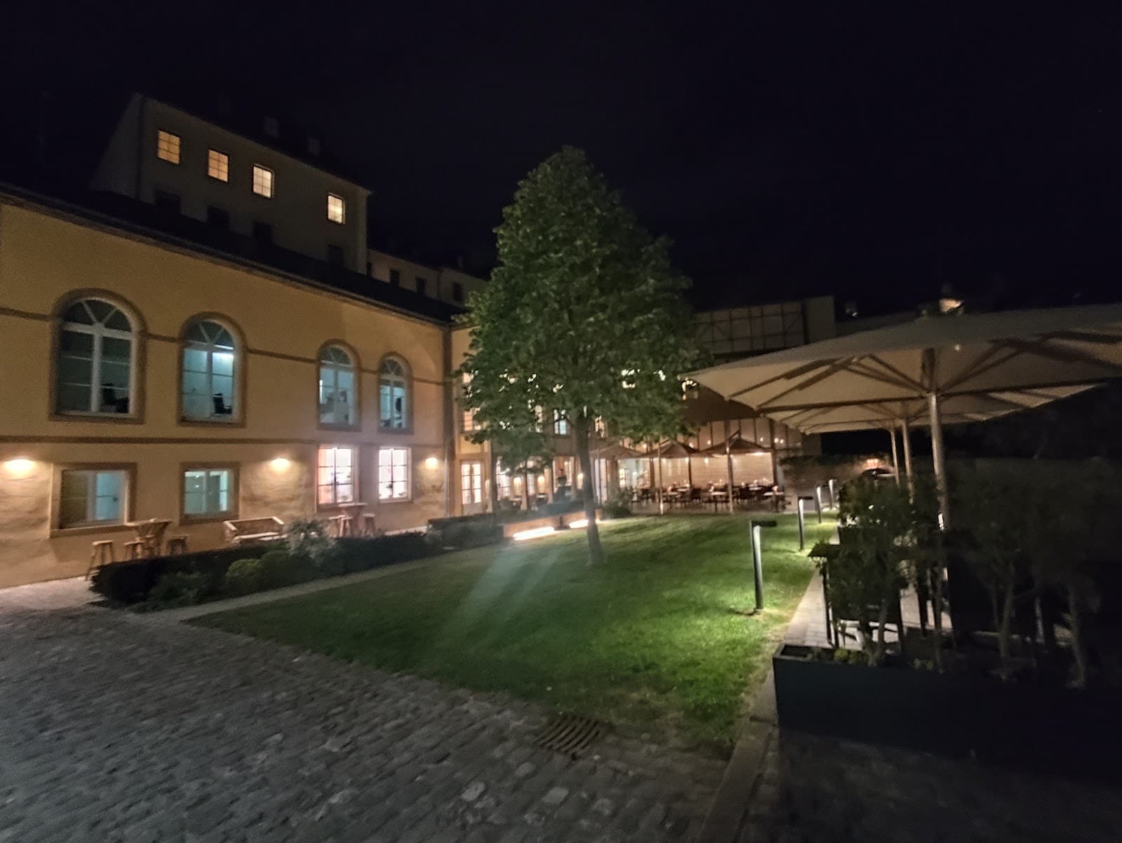 The Beech Tree By the Museum, the most gourmet brasserie in Luxembourg City - 13