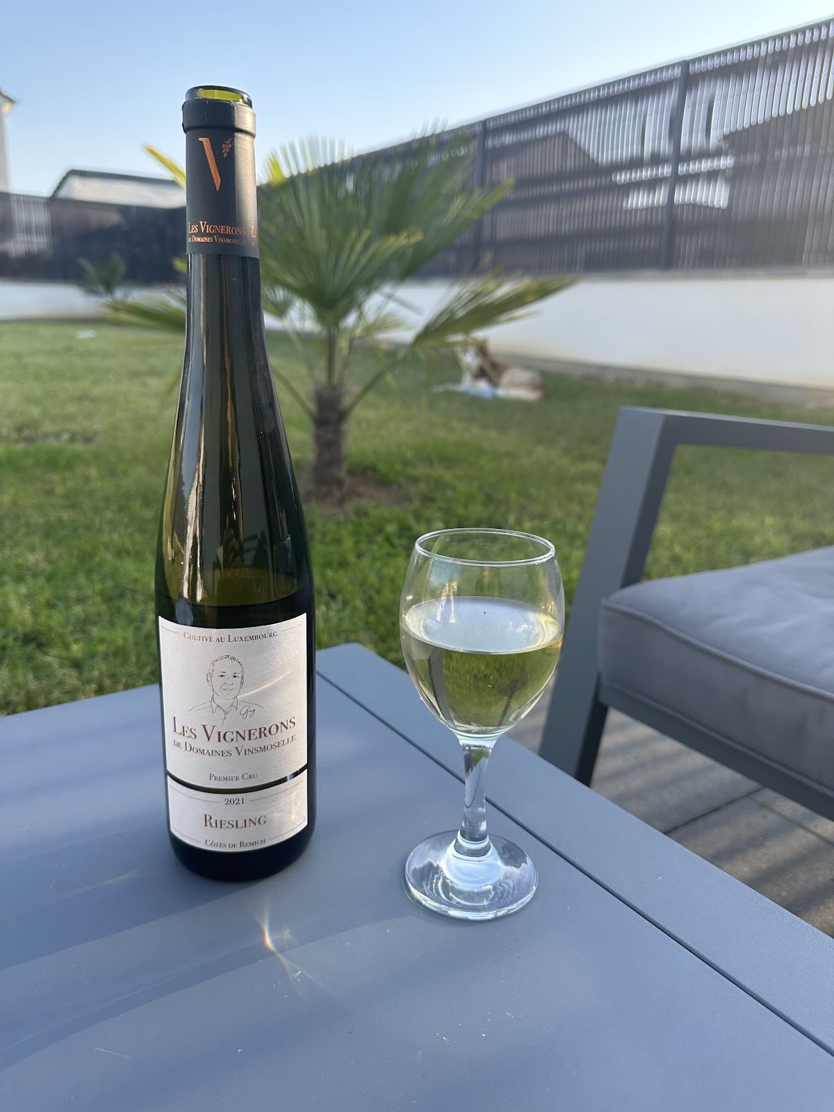 Domaines Vinsmoselle : visites, dégustations et caves au Luxembourg - 10