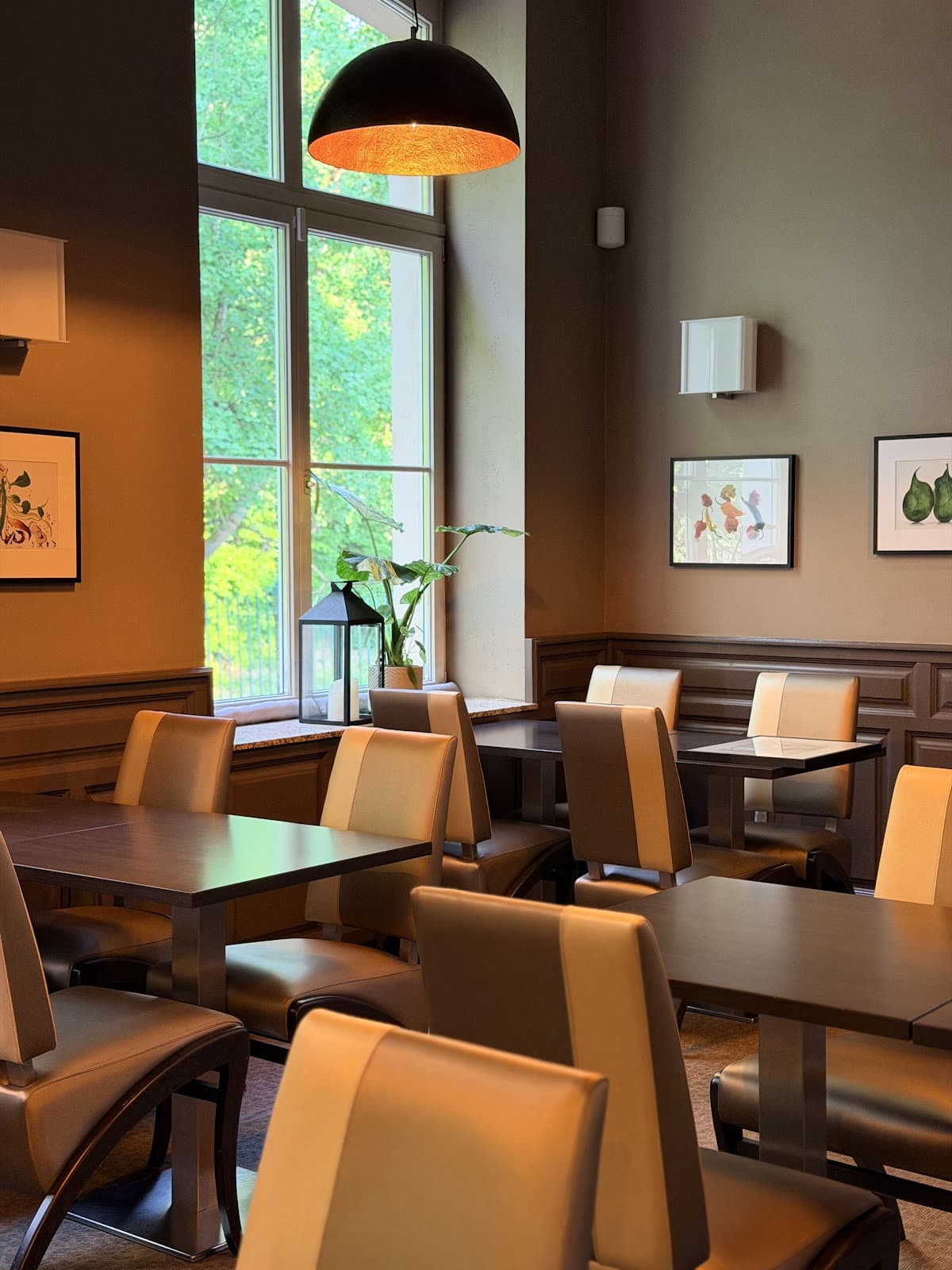 Radix : cuisine gastronomique et terrasse au cœur de la nature - 9