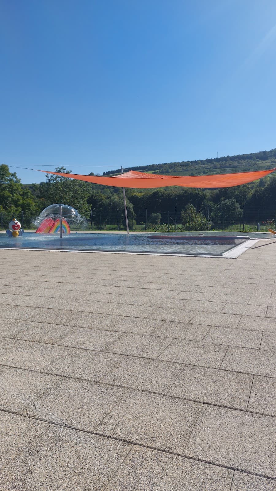 Swimming in front of the vineyards in Grevenmacher - 6