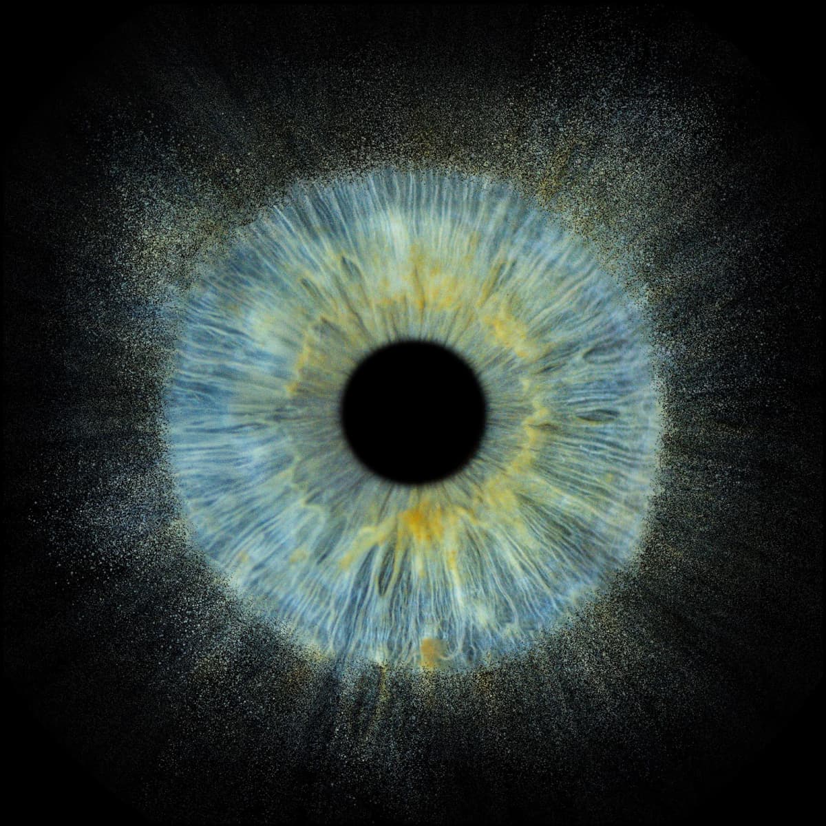 Eye to eye - 9