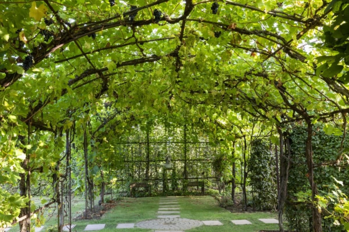 Quand le vin se mêle à l'architecture - 5
