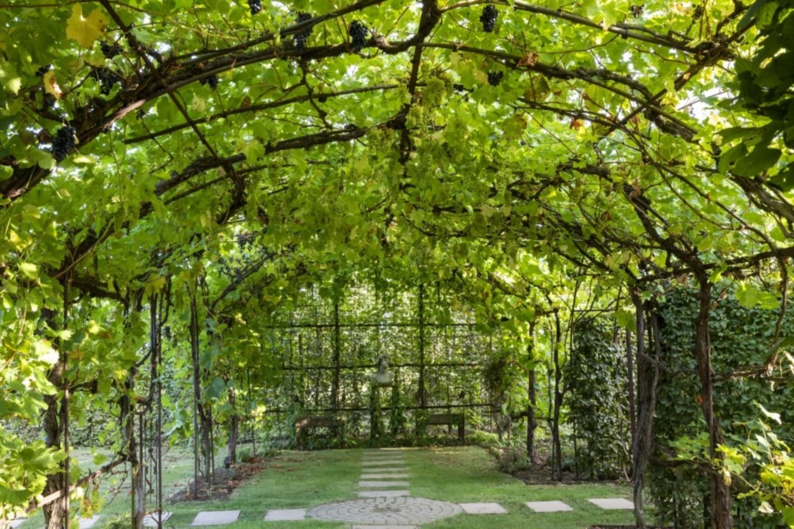 Quand le vin se mêle à l'architecture - 5