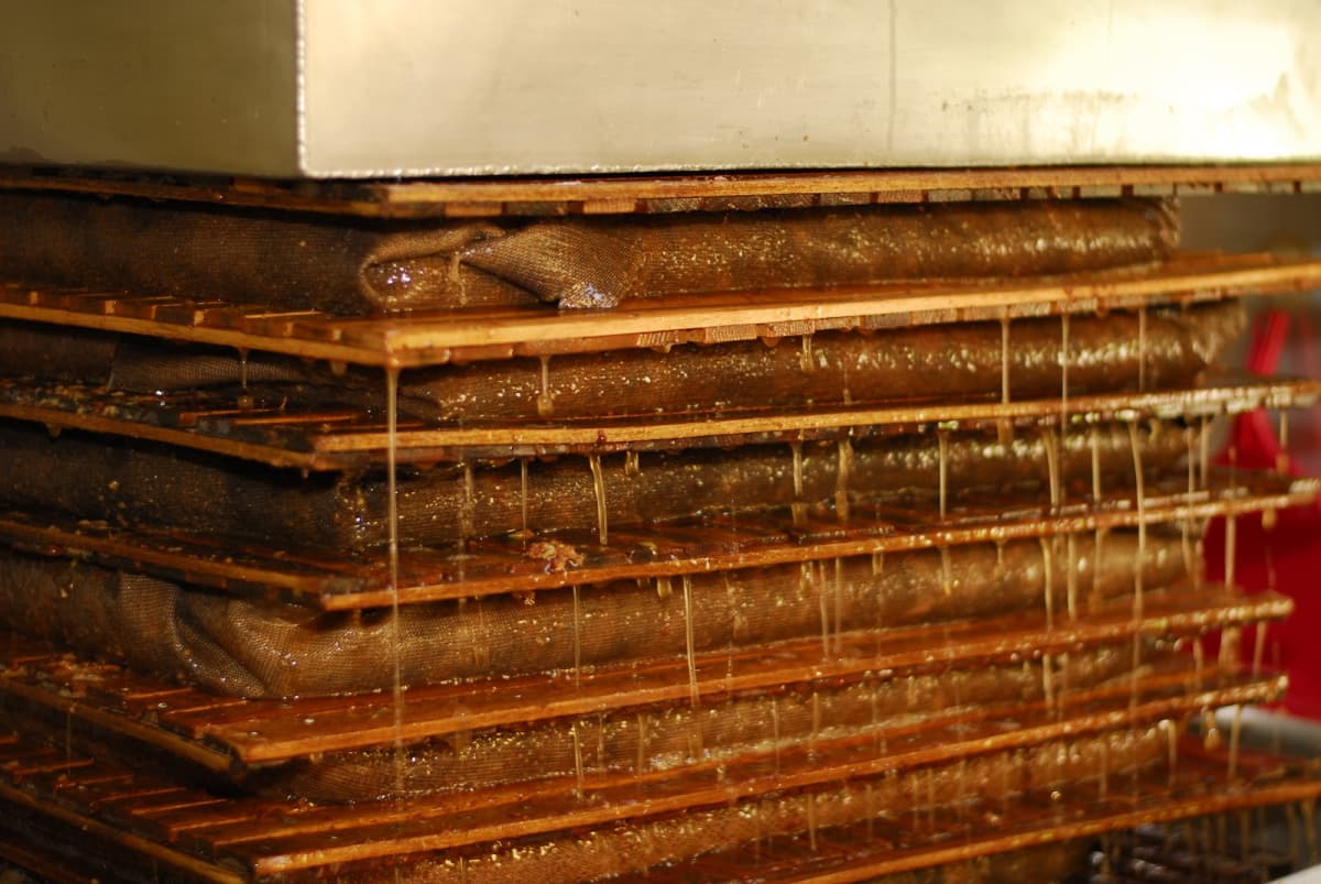 Rachecourt juice, artisanal apple juice in Belgium - 6