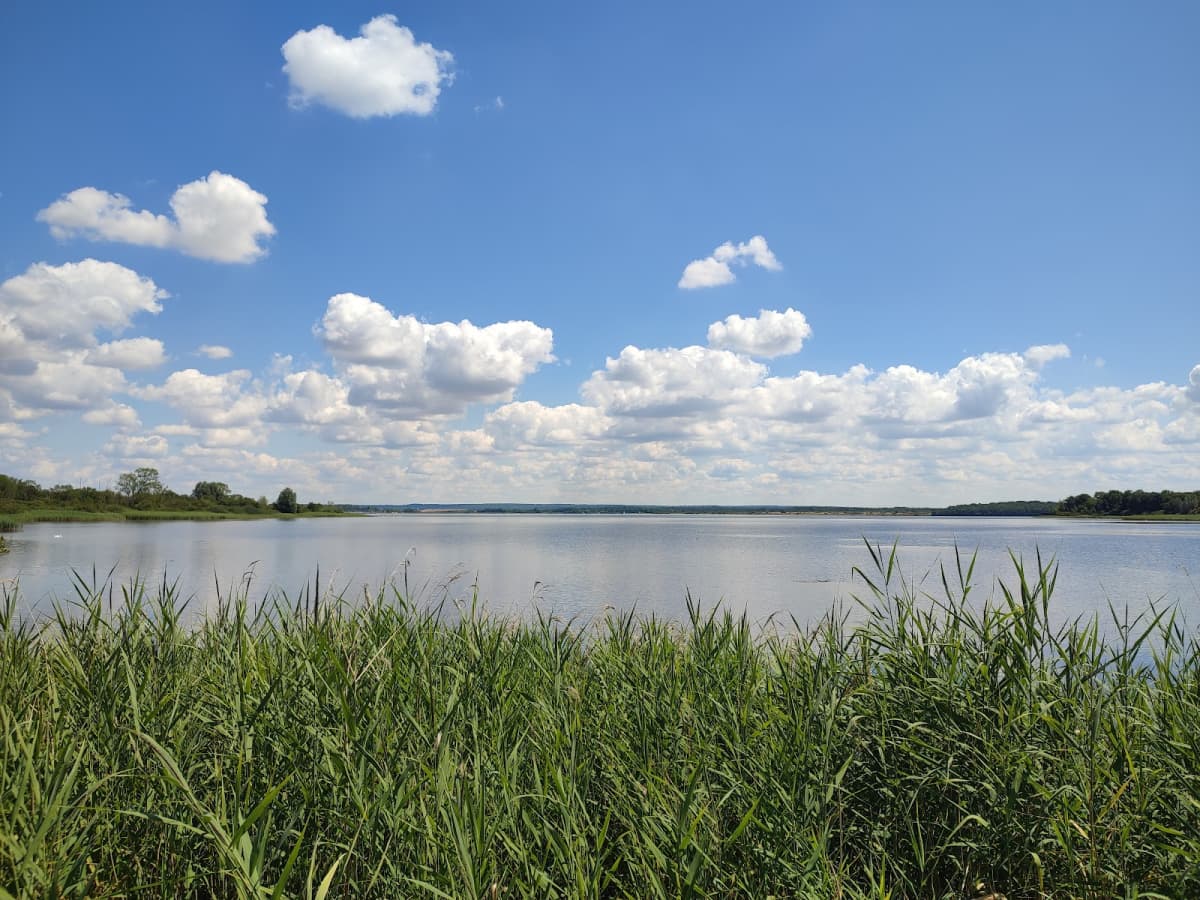 Swimming, fishing, paddle and cycling at Lake Madine - 9