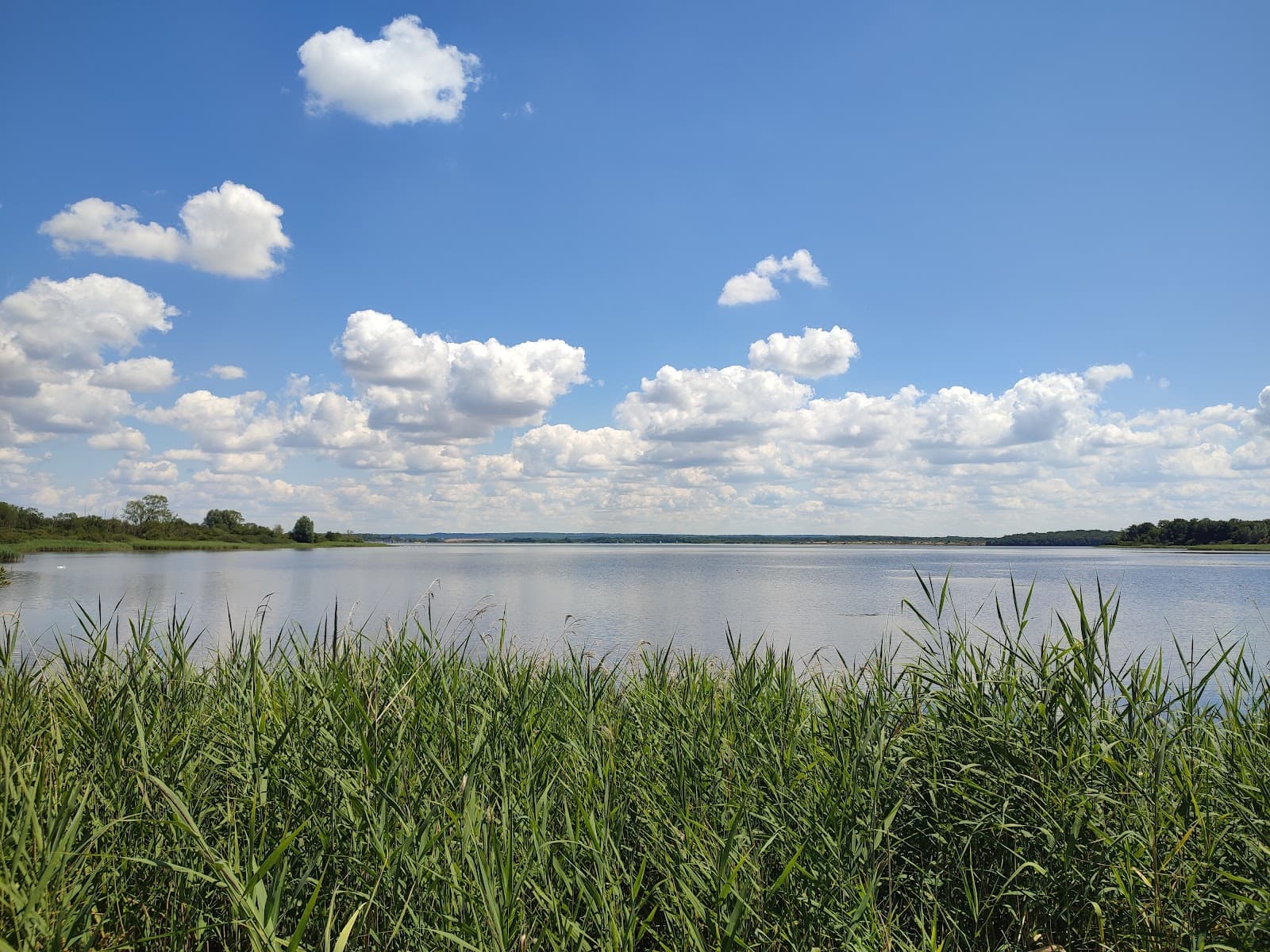 Swimming, fishing, paddle and cycling at Lake Madine - 9