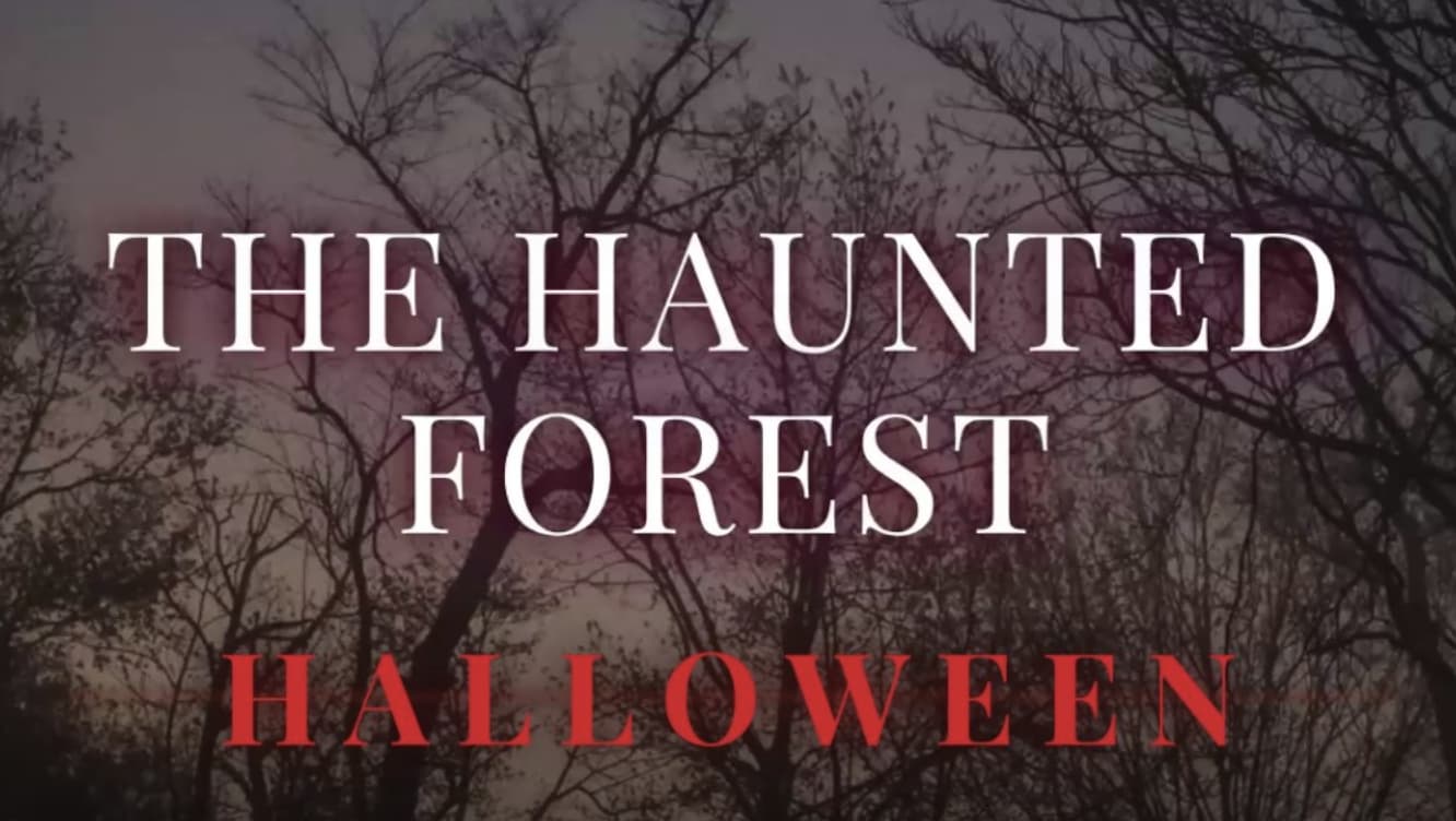 The Haunted Forest Halloween - 2