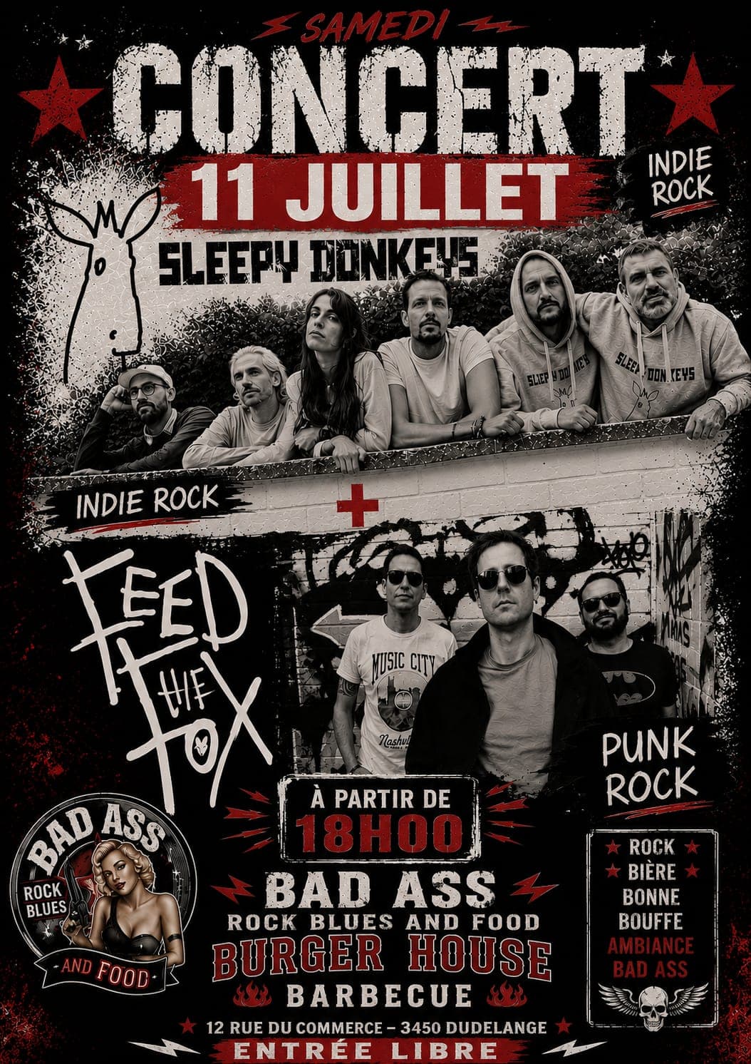 Sleepy Donkeys & Feed The Fox Concert