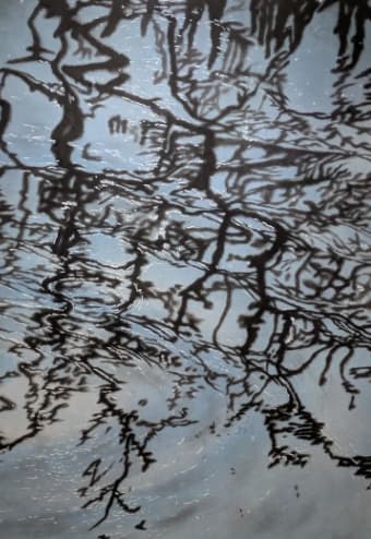 Vernissage: Resonance