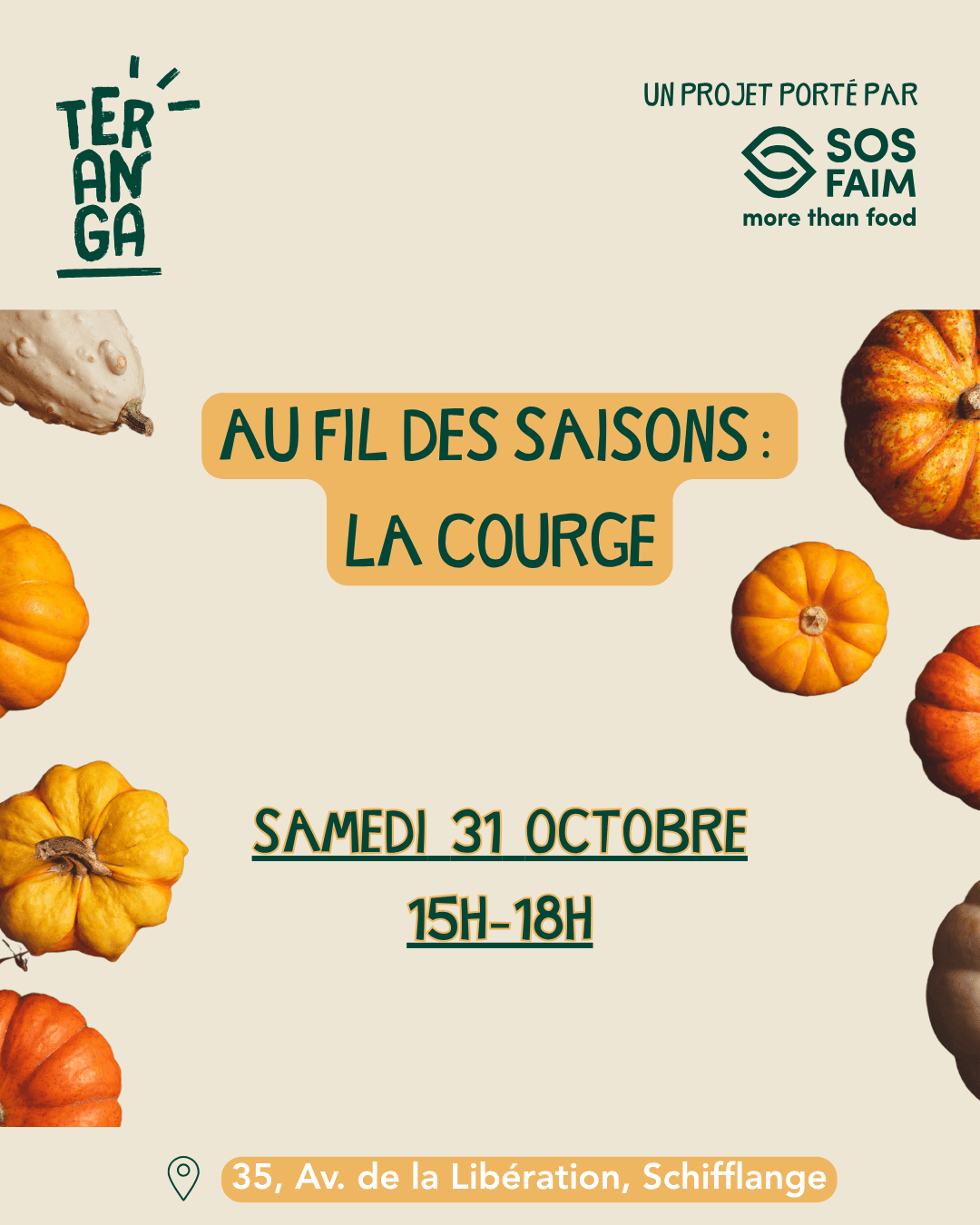 Au fil des saisons :  la courge