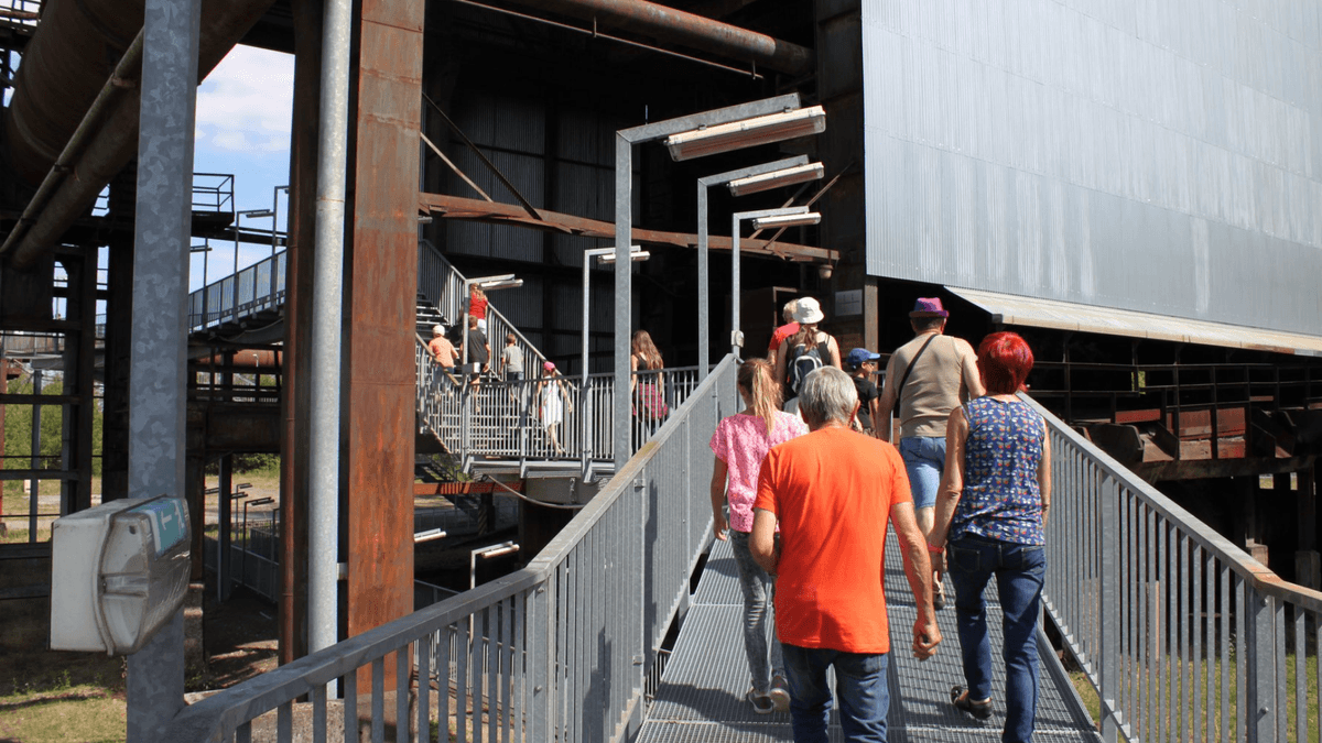 Summer guided tours