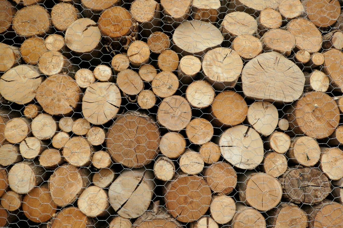 Hierschtfest mat Hierkeniessen