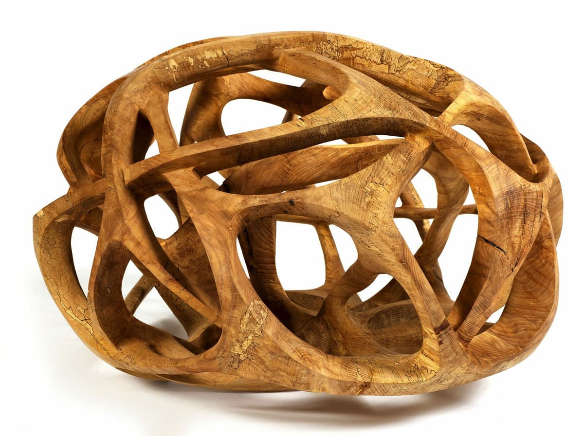 Visite guidée : De mémoire d'arbre