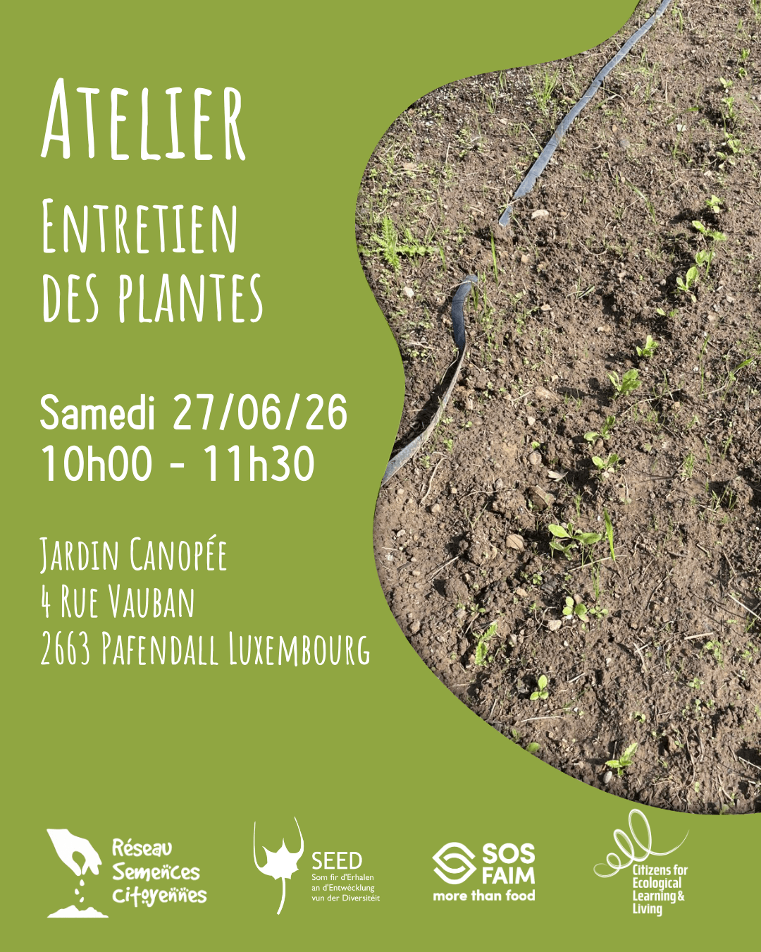 Atelier entretien des plantes