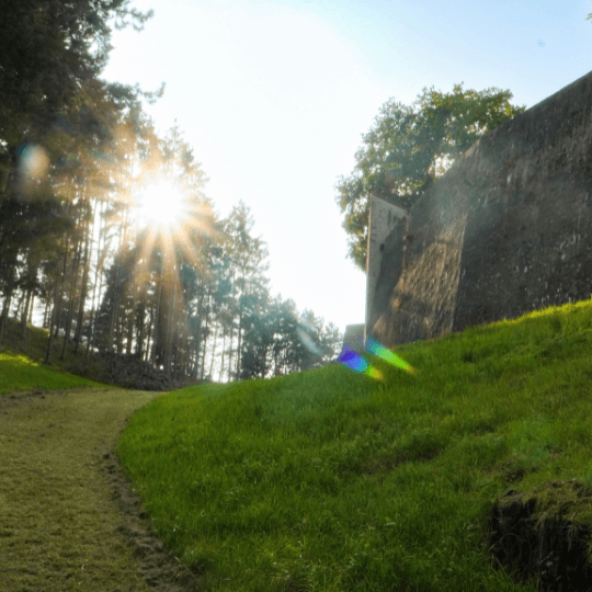 Yoga des chevaliers : atelier en duo parent/enfant