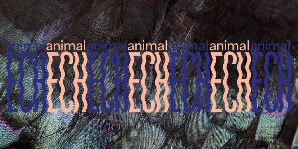 animalECH guided tours [LU | FR | DE | EN]