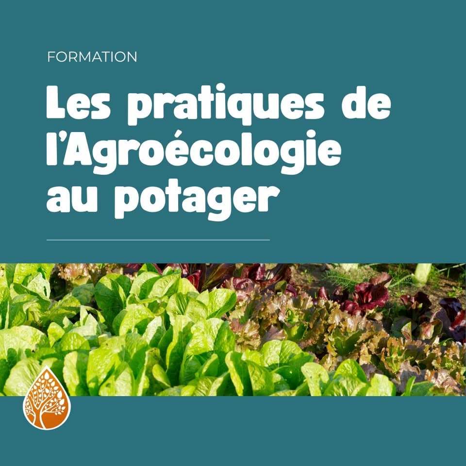 Agroecology practices in the vegetable garden