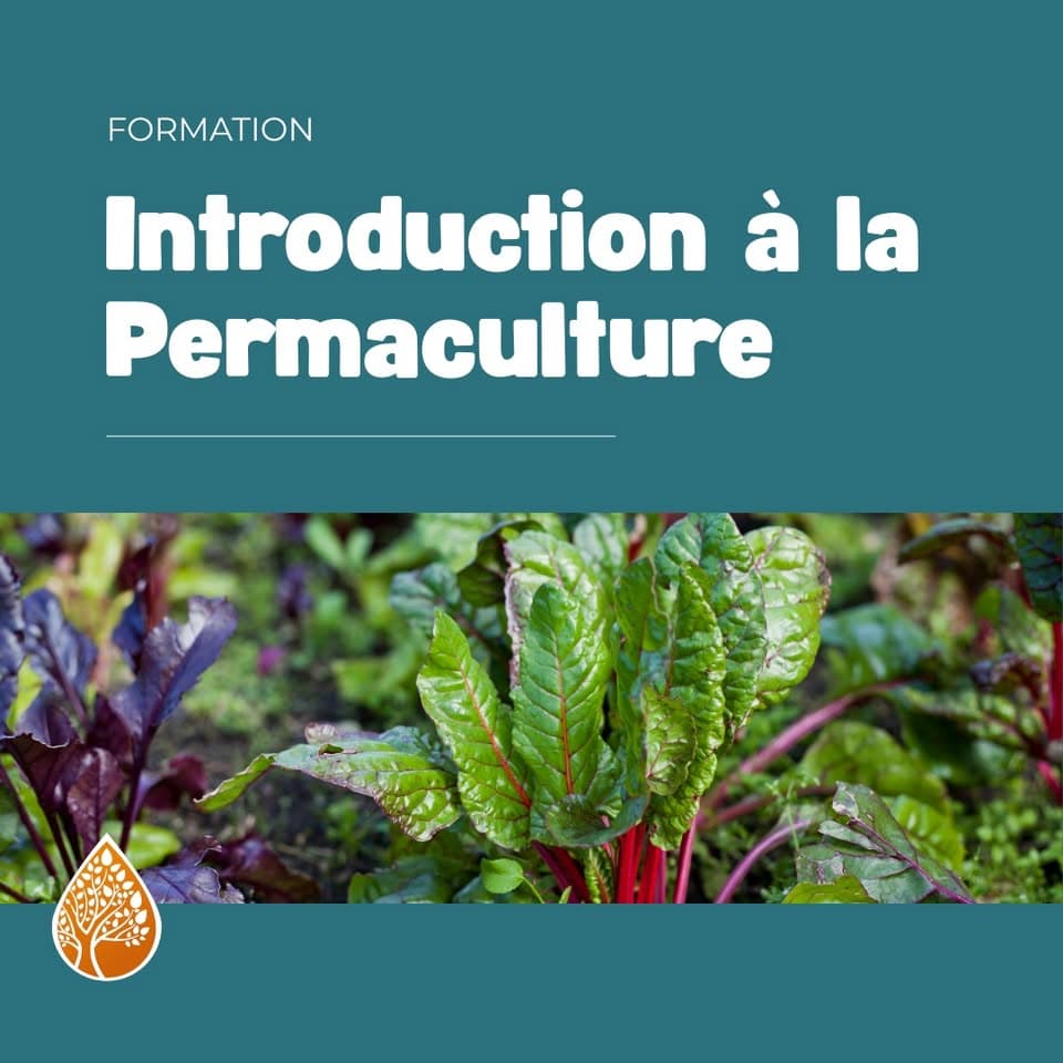 Introduction à la permaculture