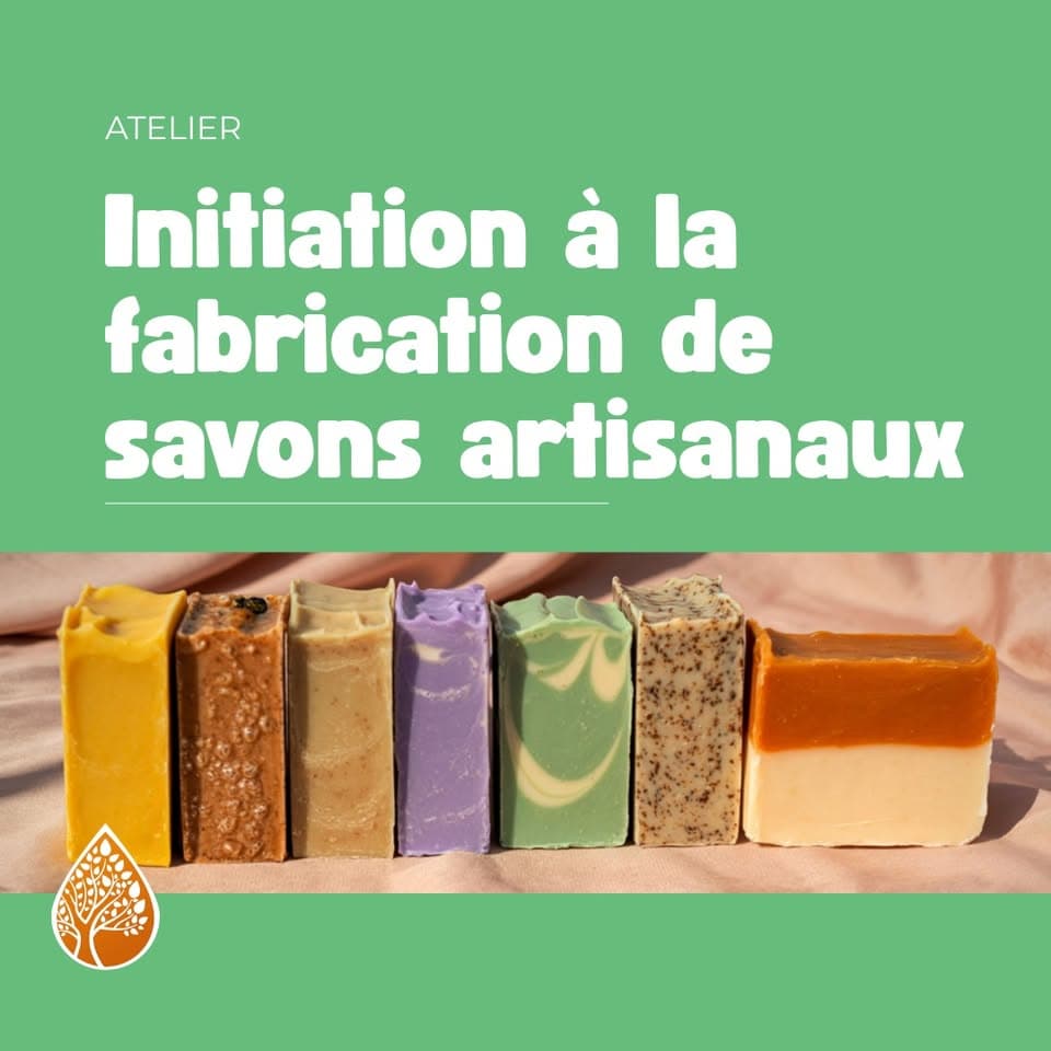 Introduction to Homemade Soap Making