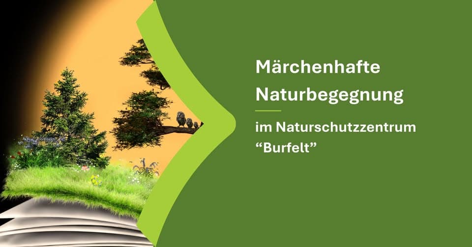 Rencontre féerique avec la nature