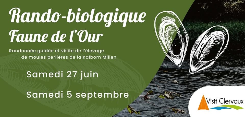 Clervaux Letz Breathe : Randonnée biologique – Les moules perlières dans la vallée de l'Our