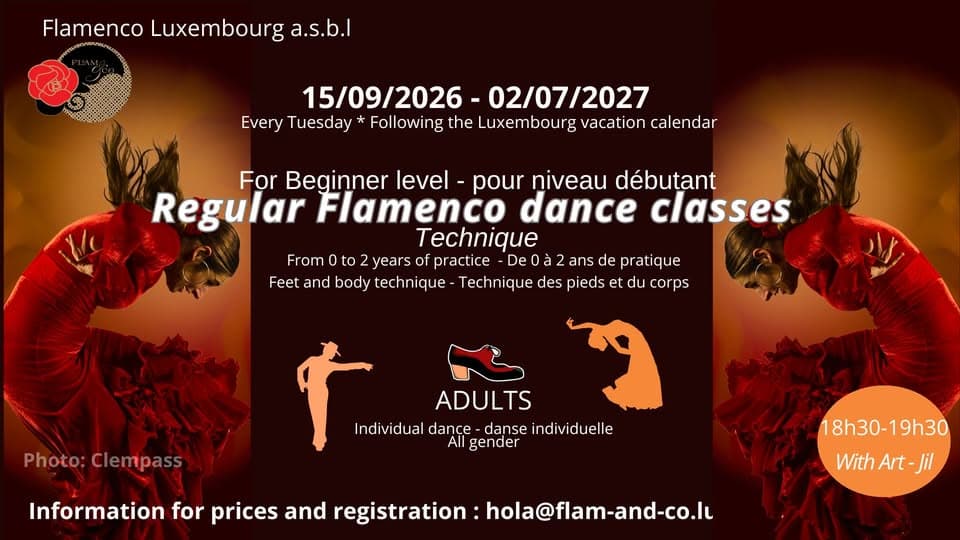 Flamenco adulte débutant