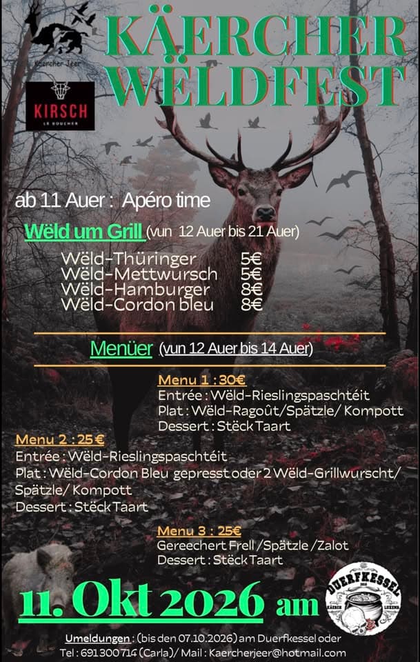 Kaercher Weldfest