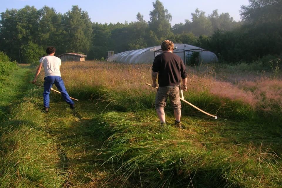 Manual mowing workshop