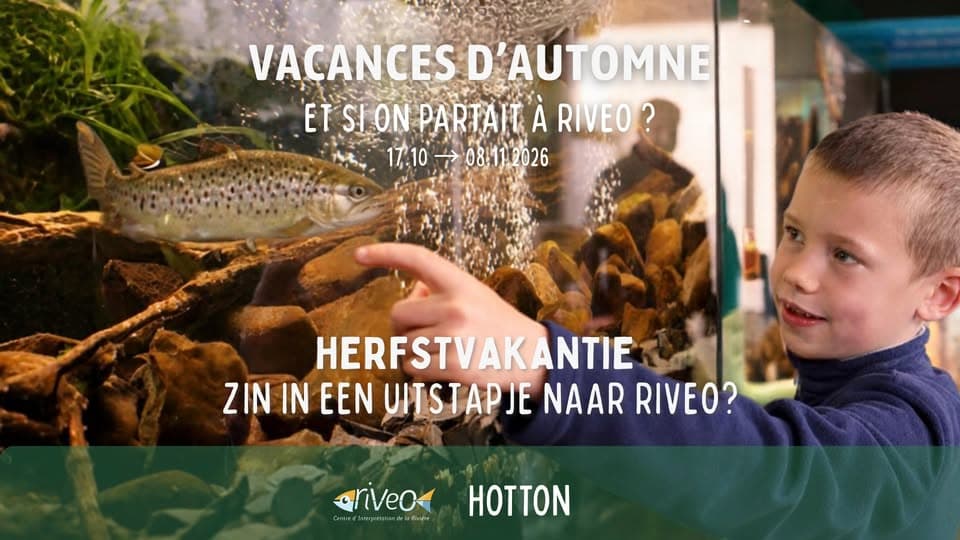 Autumn family holiday at RIVEO – Aquariums, mini-golf and surprises!