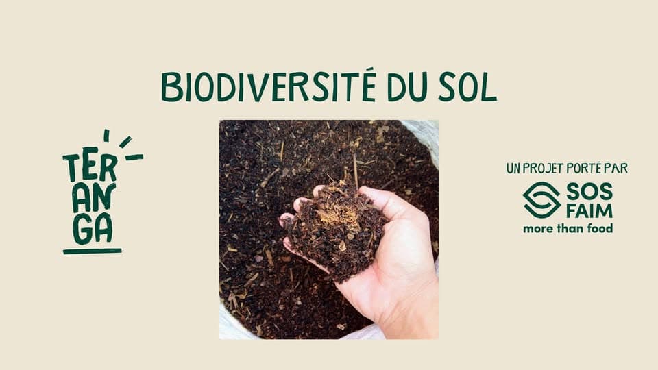 Soil biodiversity: theoretical and practical workshop