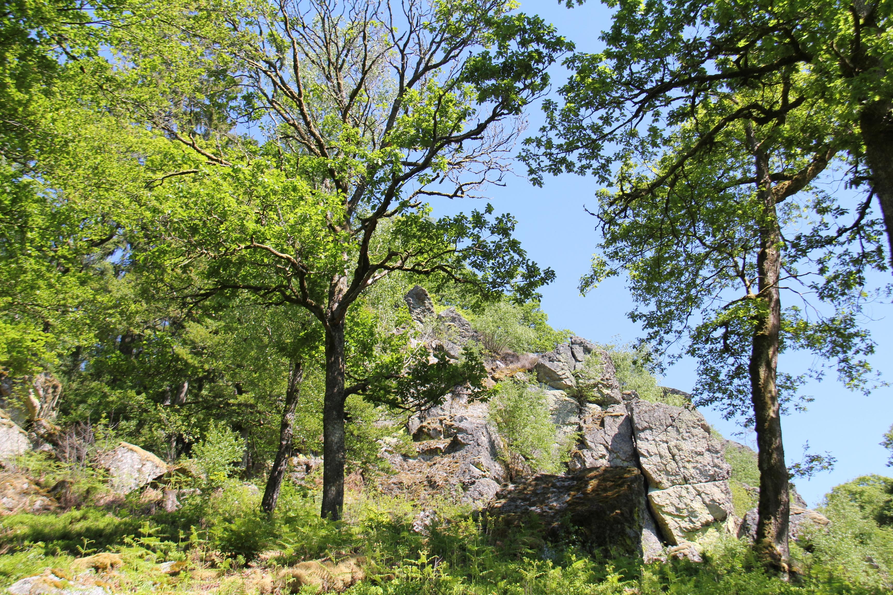 Guided walk: La Roche à l'appel