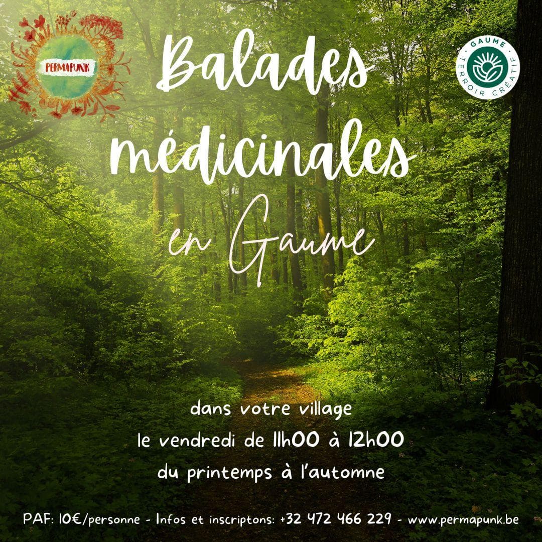 Balade médicinale en Gaume