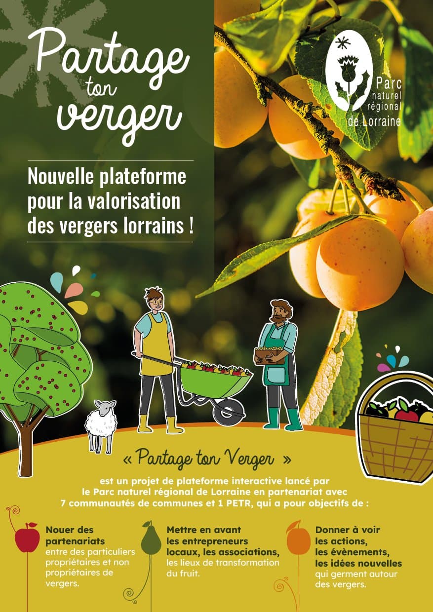 Partage ton verger : une plateforme de valorisation des vergers lorrains !