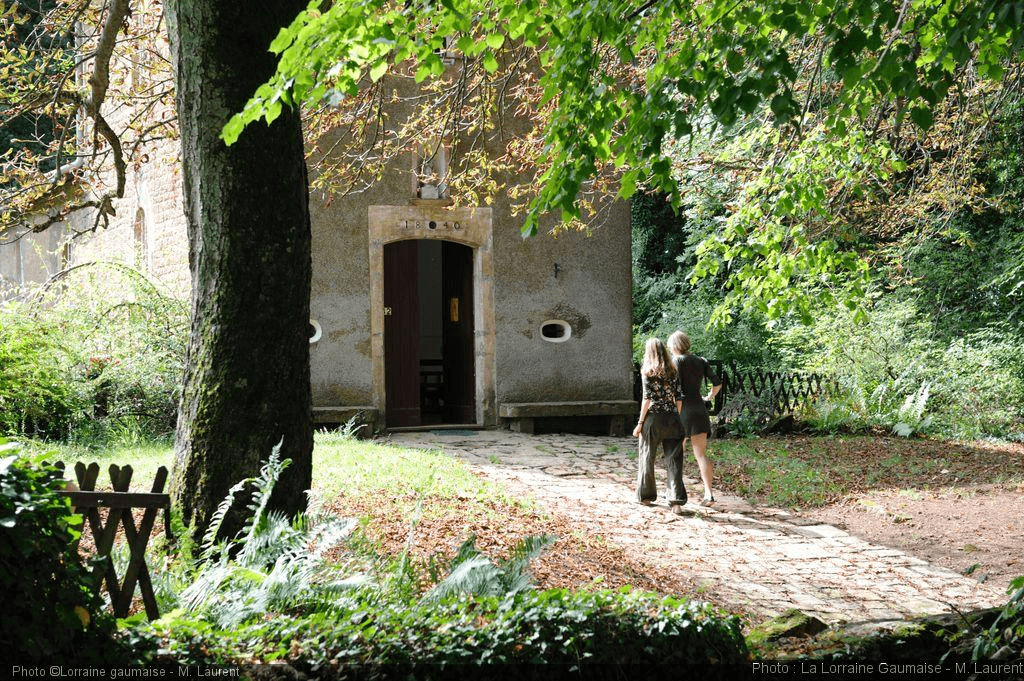 Balade guidée : Torgny et son vignoble