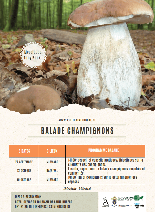Mushroom walk