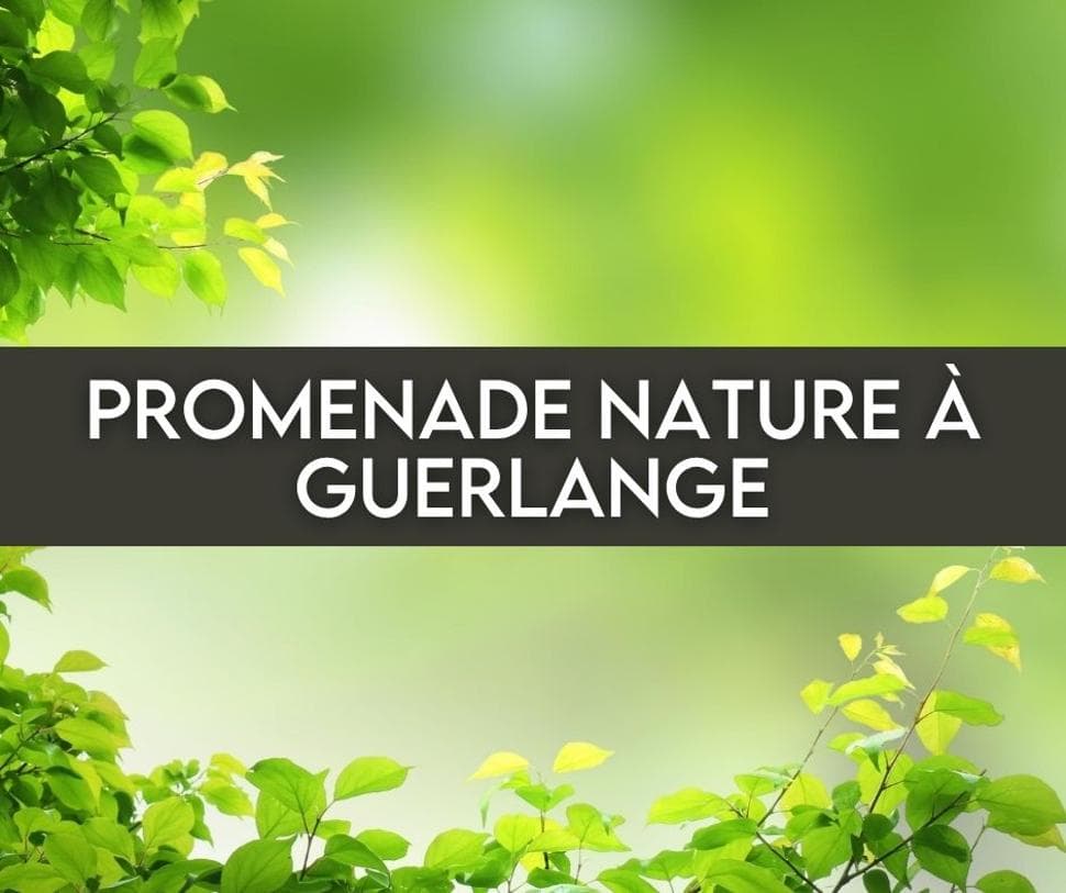 Nature walk in Guerlange